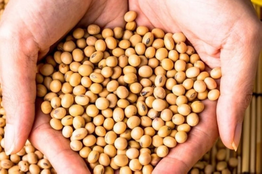 «صفر شحنات».. الصين تتخلى عن فول الصويا الأمريكي