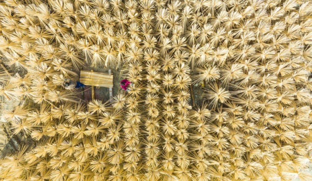 استثمار الغابات