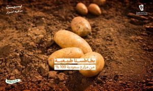 «بيت الشاورما» يكشف رحلة الخضار من المصدر إلى طبق العميل.. معايير رقابية دقيقة ترفع ثقة المستهلك