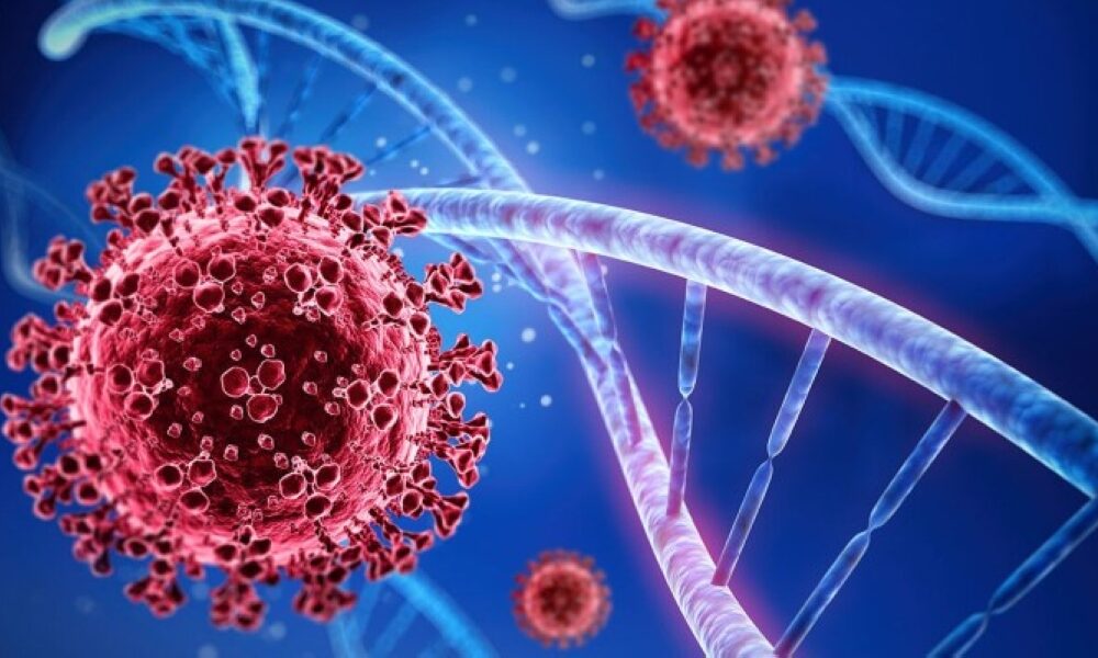 اكتشاف فايروس كورونا جديد في خفافيش البرازيل