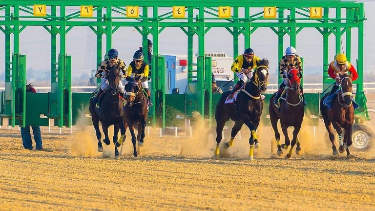 ميدان سباقات الخيل بنجران يُنظّم اليوم حفل سباقه الـ12 للموسم الحالي