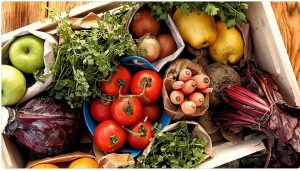 استشاري: 10 مفاهئم خاطئة عن التغذية والصحة