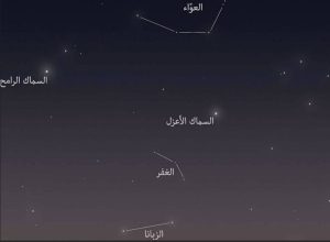 «الحصيني» مع بدء منزلة «السماك»: تقل الرغبة في شرب الماء وتنتشر أمراض الحساسية