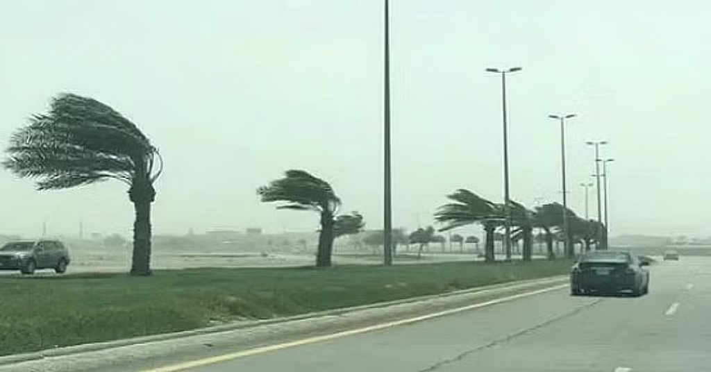 المركز الوطني للأرصاد: رياحٌ شديدة على منطقة حائل