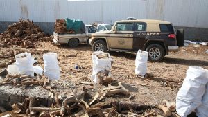 ضبط مواطن لتخزين الحطب المحلي في منطقة المدينة المنورة