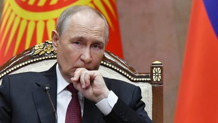 تقويم بوتين 2026: صور على الثلج مع الكلاب وعزفٌ على البيانو.. وأوكرانيا الغائب الحاضر