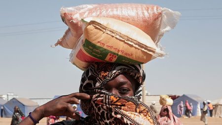 السودان: البرهان يدعو ترامب إلى التدخل لإنهاء الحرب المستمرة منذ عامين