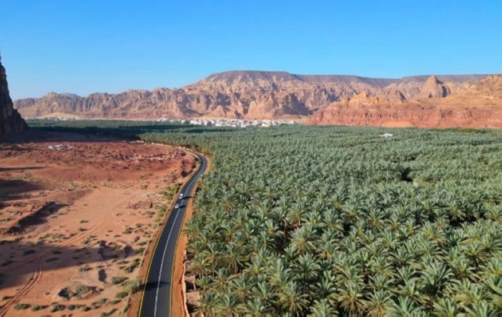 كليّة العلا التطبيقية تسوّق «مزرعتك وجهة سياحية»