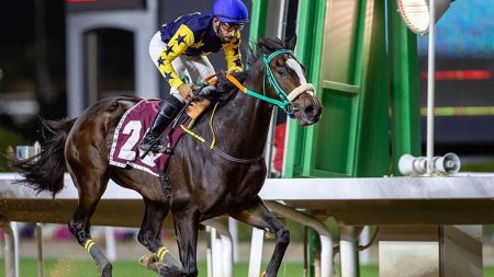 ميدان سباقات الخيل بنجران يُنظّم اليوم حفل سباقه الثامن للموسم الحالي