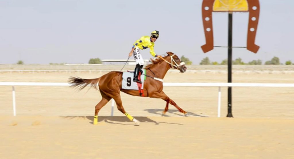 "فروسية الأحساء" تقيم حفل سباقها الثاني بـ7 أشواط مميزة