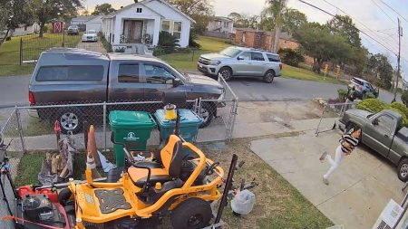 فيديو- مواطنة أمريكية في لويزيانا تتعرض للمطاردة من قبل جهاز مكافحة الهجرة