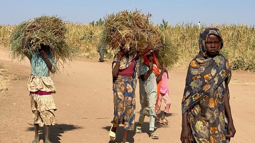 اتهامات لوزارة الخارجية البريطانية بتعديل تقرير حذّر من إبادة وشيكة في دارفور