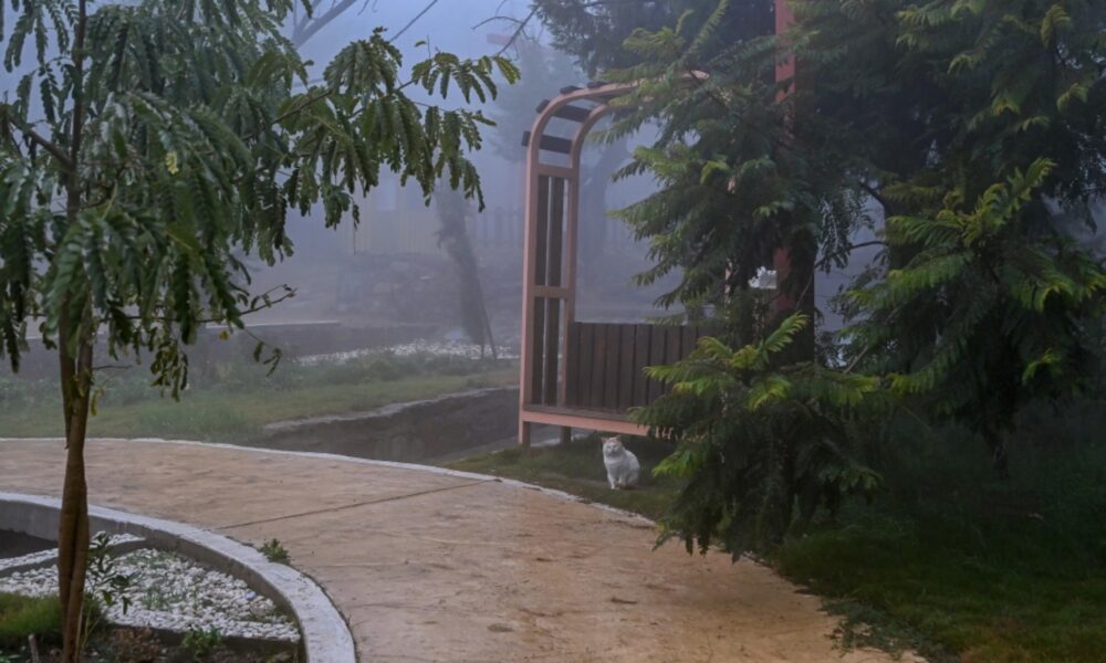 طقس السعودية: أمطار ورياح نشطة شمالاً وضباب كثيف في عسير وجازان