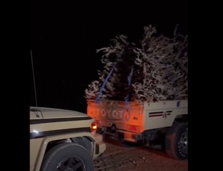 ضبط مواطن لنقله حطب محلي في منطقة المدينة المنورة