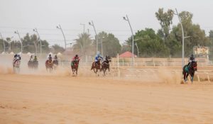 انطلاق موسم سباقات الفروسية بالجوف.. وتتويج 20 فائزًا