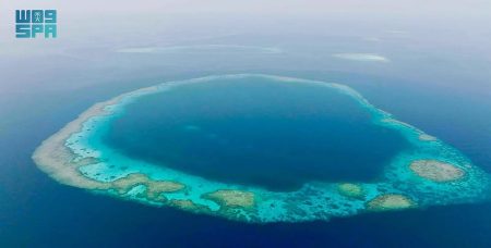 «الحياة الفطرية» يطوّر منظومة التشغيل والحوكمة في محميتي الثقوب الزرقاء ورأس حاطبة