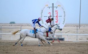 "فروسية الجبيل" ينظم ثاني سباقاته للموسم الحالي 1447