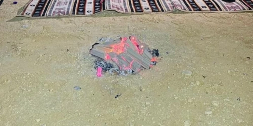 الأمن البيئي يضبط مخالفاً لنظام البيئة في السعودية