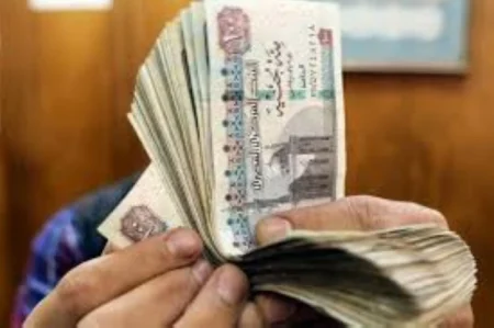 مصر: 12.63 جنيه سعر صرف الريال السعودي – أخبار السعودية