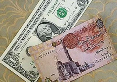 بعد موجة خسائر.. ارتفاع الجنيه المصري أمام الدولار – أخبار السعودية