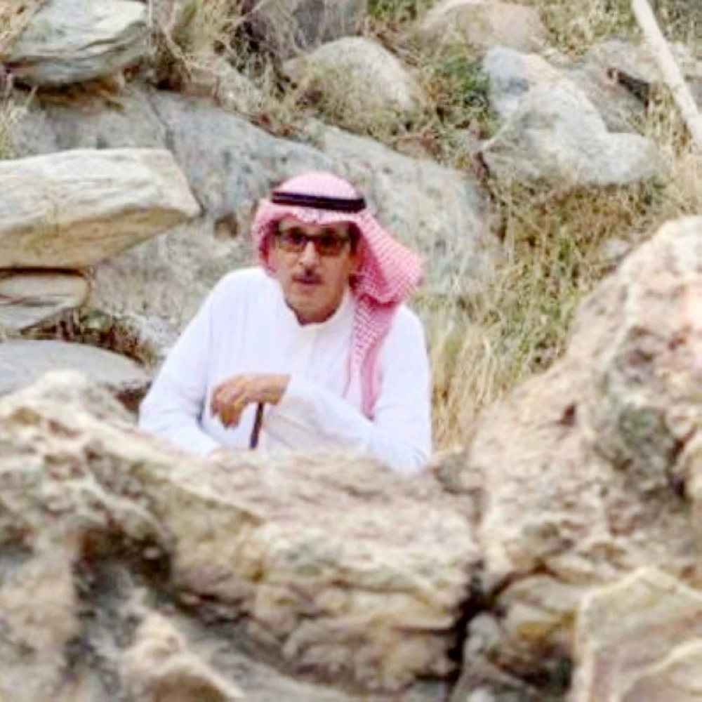 قراءة في مجموعة «رأيت بروك شيلدز» لعبدالرحمن الشهري – أخبار السعودية