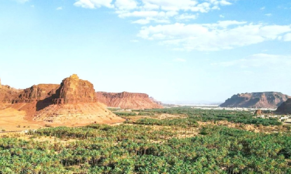حظر القيادة العشوائية في العلا: غرامات لحماية البيئة