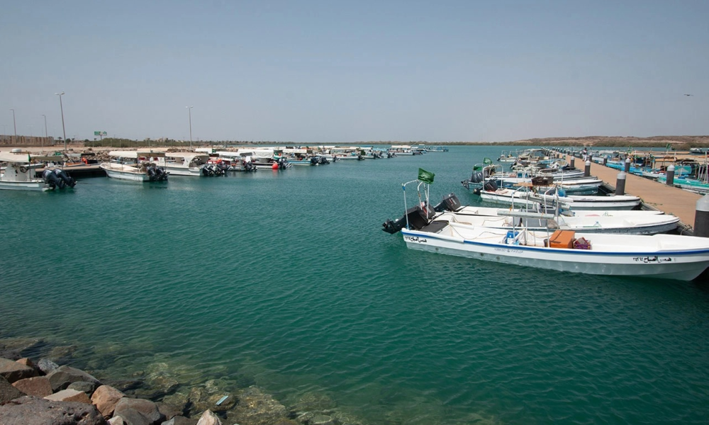 ريف السعودية يدعم الصيادين بمحركات وأجهزة استغاثة حديثة