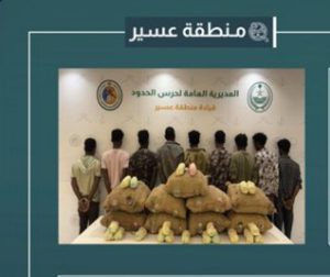 القبض على 9 مخالفين من الجنسيتين اليمنية والإثيوبية لتهريبهم 180 كيلوجرامًا من القات