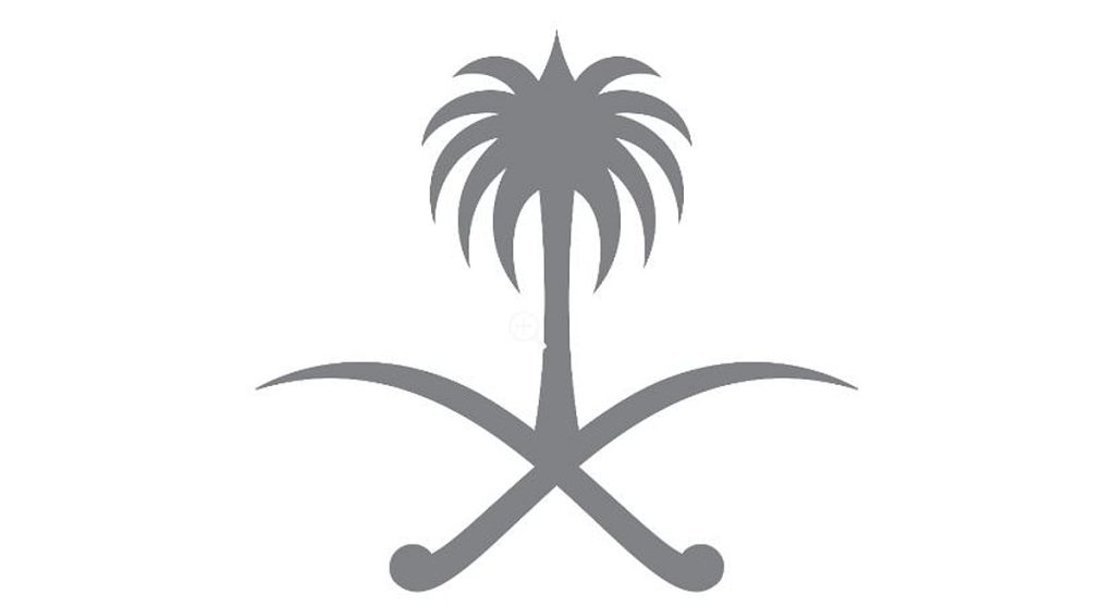 مرسوم ملكي يشمل نظام جوازات السفر السياسية والخاصة بشأن البعثات الدولية بمجالات التربية والثقافة والعلوم