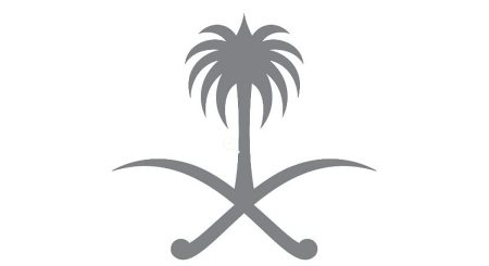 مرسوم ملكي يشمل نظام جوازات السفر السياسية والخاصة بشأن البعثات الدولية بمجالات التربية والثقافة والعلوم