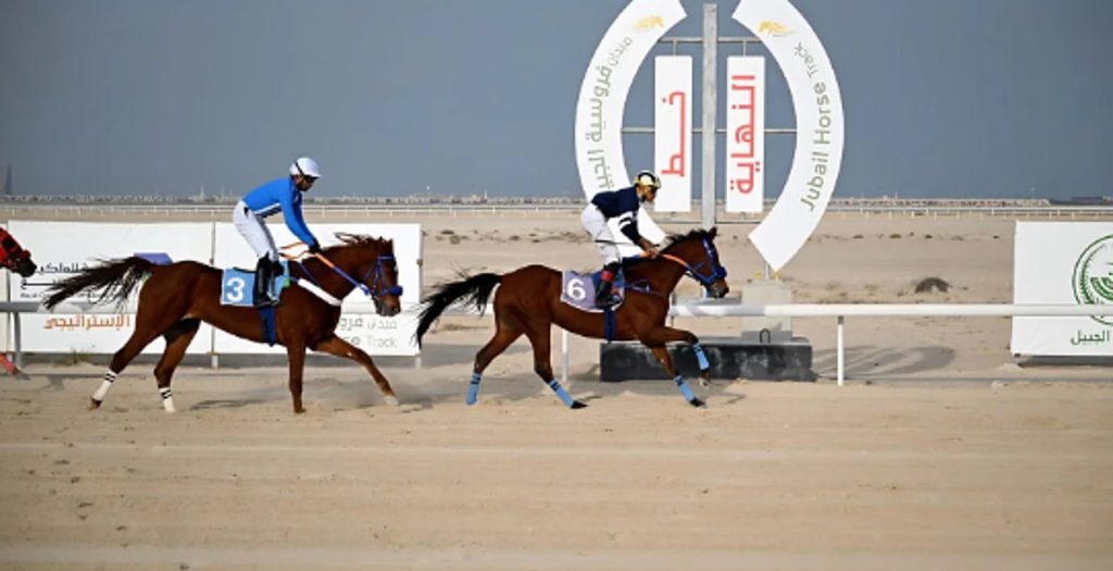 ميدان فروسية الجبيل يقيم سابع سباقاته للموسم الرياضي 2025 – 2026