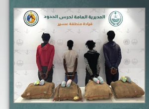 حرس الحدود بعسير يقبض على 4 إثوبيين لتهريبهم 80 كيلوجرامًا من القات المخدر