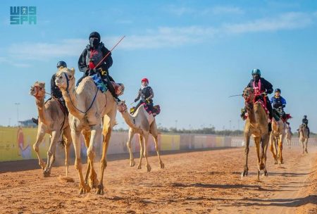 غدًا.. انطلاق منافسات الهجانات ضمن مهرجان خادم الحرمين الشريفين للهجن 2026