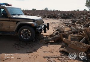 "الأمن البيئي": نقل وبيع وتخزين الحطب المحلي مخالفة تصل عقوبتها لـ 16 ألف ريال لكل متر مكعب