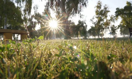 طقس السعودية: انخفاض حاد في الحرارة وتحذيرات من الصقيع