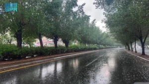 الطقس في السعودية: توقعات أمطار رعدية وغبار على 6 مناطق