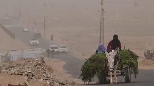 مباشر – غزة: تصعيد ميداني ومهلة لنزع السلاح.. وتطورات أمنية في الضفة الغربية
