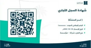 إصدار 5,017 سجلاً تجارياً في عسير خلال 90 يوماً – أخبار السعودية