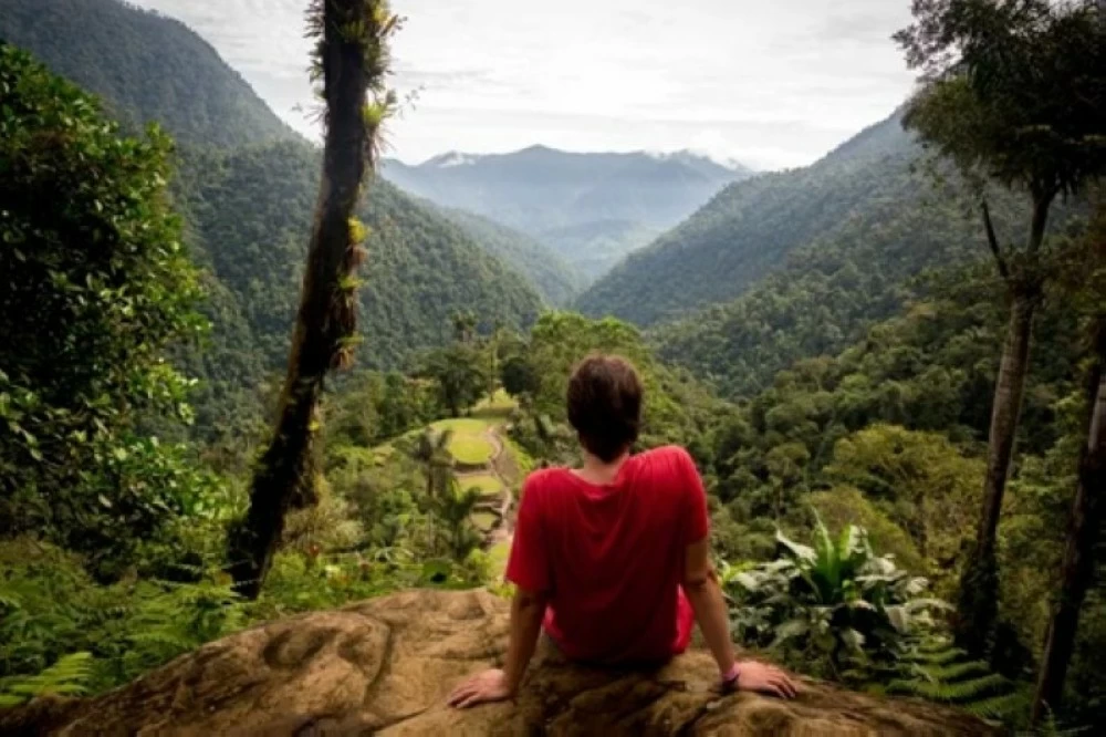 كيف أخفت غابات كولومبيا «مدينة السماء»؟ – أخبار السعودية