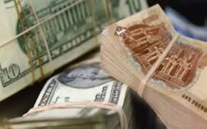 مصر: سعر الدولار يقترب من 48 جنيهاً – أخبار السعودية