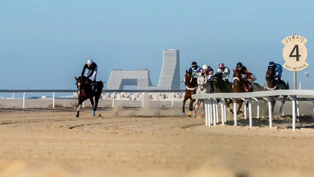ميدان فروسية الجبيل يقيم سباقه الثامن للموسم الحالي 1447هـ