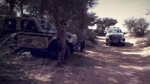 «الأمن البيئي» يضبط مواطنا لإشغال النار في غير الأماكن المخصصة بمحمية طويق