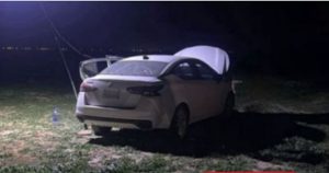 ضبط مواطن مخالف لنظام البيئة في محمية الإمام عبدالعزيز بن محمد الملكية