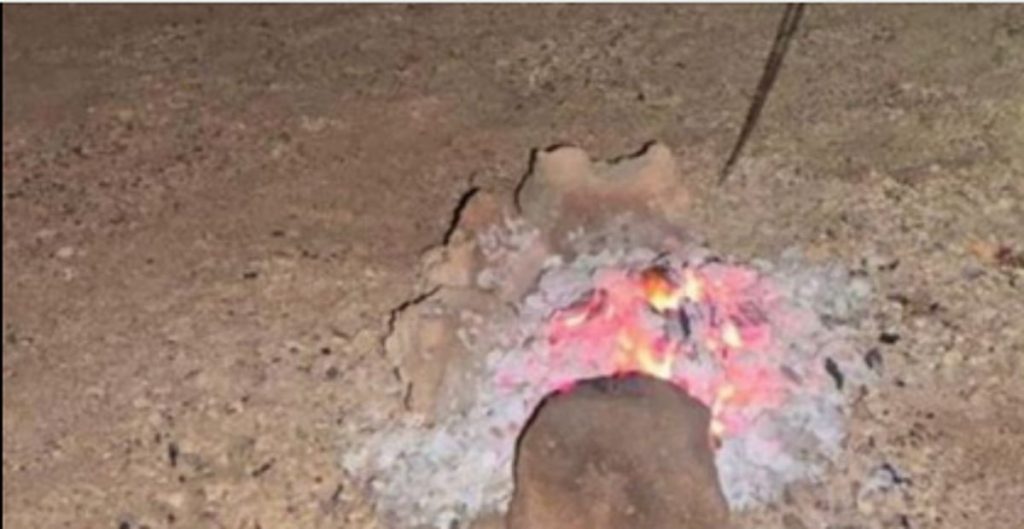 ضبط مواطن مخالف لنظام البيئة في محمية الأمير محمد بن سلمان الملكية