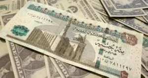 13.99 جنيه متوسط سعر الريال السعودي في «المركزي المصري» – أخبار السعودية