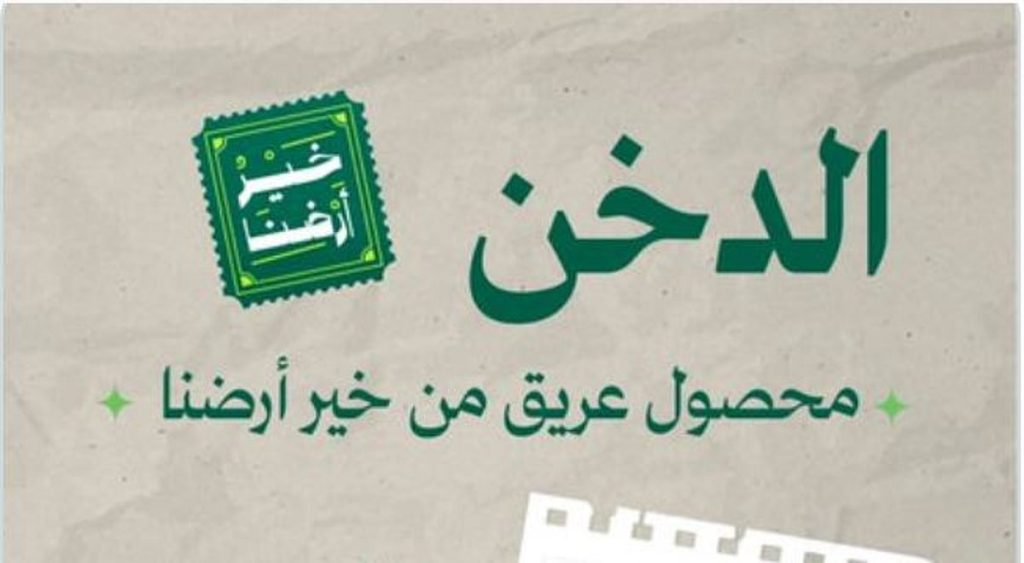 «البيئة»: الدخن المحلي خيار استراتيجي لموائد رمضان ودعم الأمن الغذائي بالمملكة