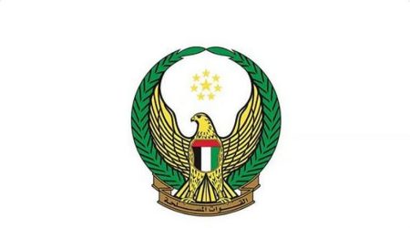 الدفاع الإماراتية: سقوط صاروخ باليستي داخل أراضي الدولة دون تسجيل إصابات