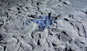 ضبط مواطن لإشعاله النار في غير الأماكن المخصصة لها بمنطقة المدينة المنورة