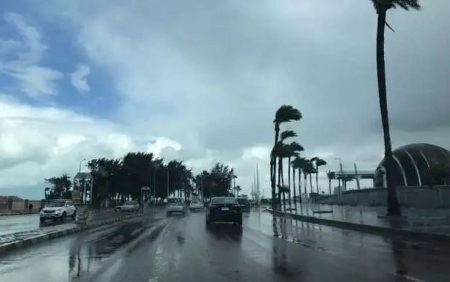 أمطار رعدية غزيرة بتك المناطق.. حالة الطقس اليوم الأحد 19-9-1447 في المملكة