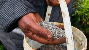 نيران الشرق الأوسط تصل مائدتك.. قفزة جديدة في أسعار الغذاء العالمية وتحذيرات مما هو آت